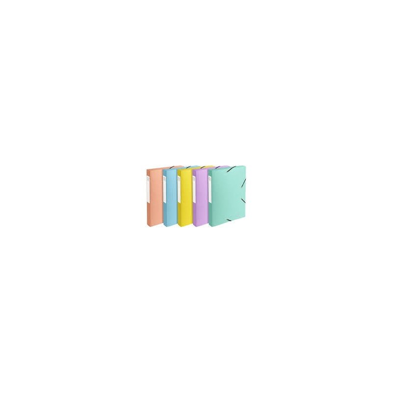 Boite de classement Dos 60 PASTEL  ASSORTIES