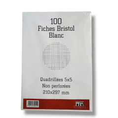FICHE BRISTOL GM BLANC / 100F